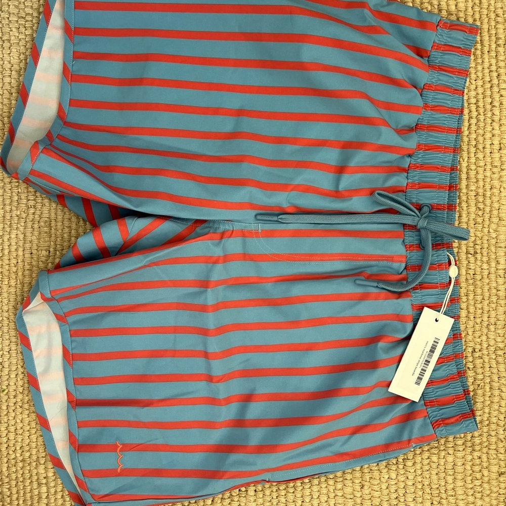 Vibrant Striped Swim Trunks